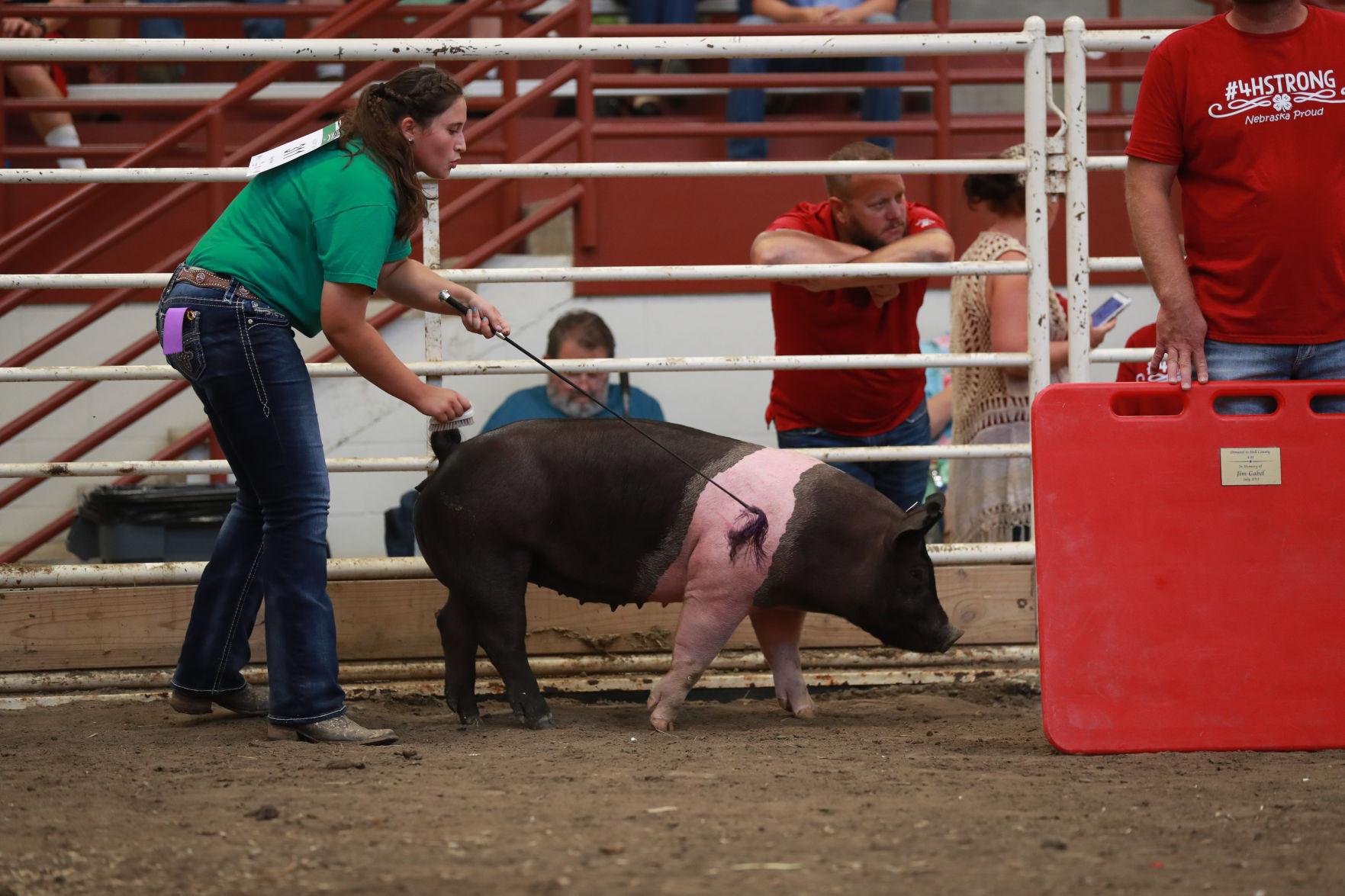 071119_HallCoFair50_bjs.JPG